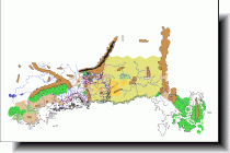 Genertela, the scale 29%